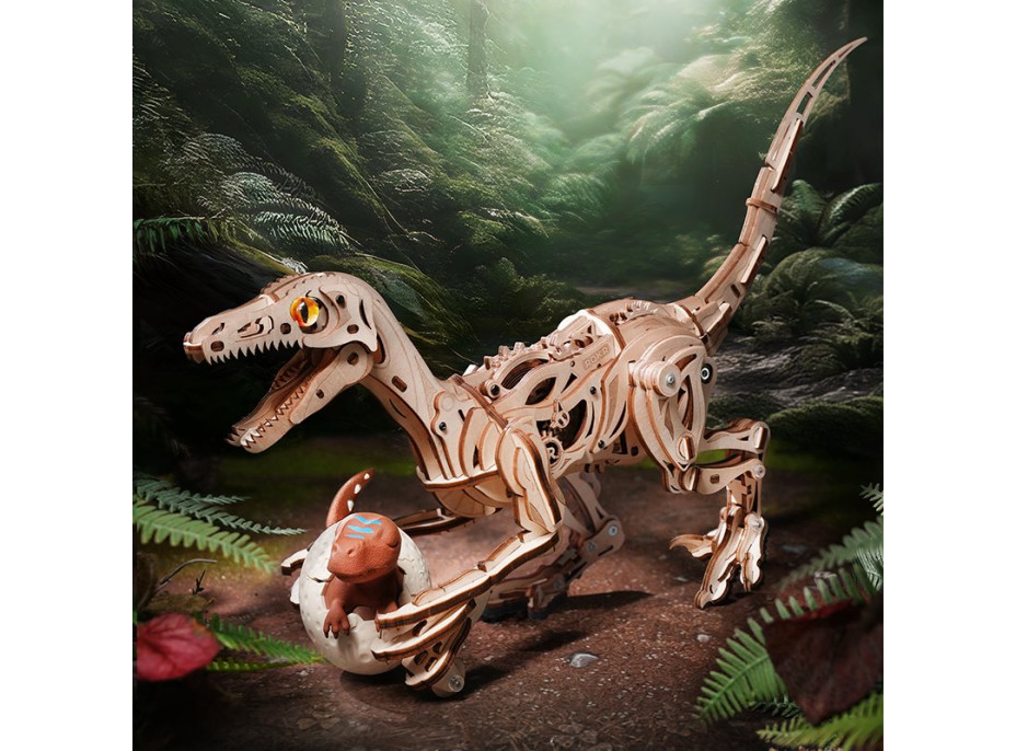 ROBOTIME Rokr 3D dřevěné puzzle Velociraptor 191 dílků