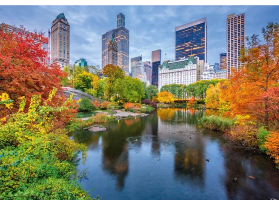 DINO Puzzle Central Park 500 dílků