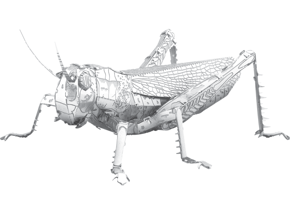 METAL EARTH 3D puzzle Luční koník