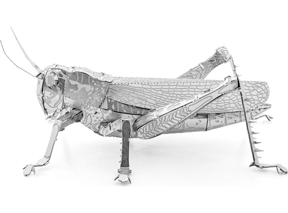 METAL EARTH 3D puzzle Luční koník