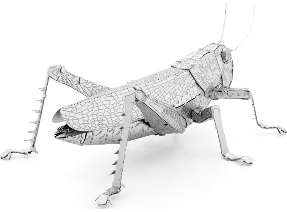 METAL EARTH 3D puzzle Luční koník