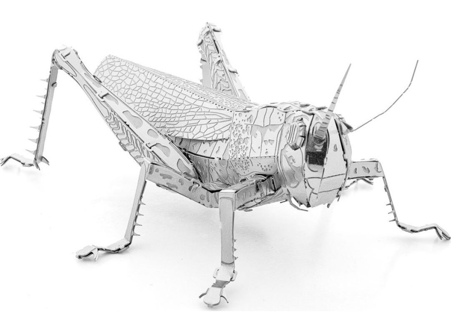 METAL EARTH 3D puzzle Luční koník