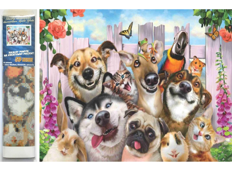 NORIMPEX Diamantové malování Bláznivá selfie 30x40 cm