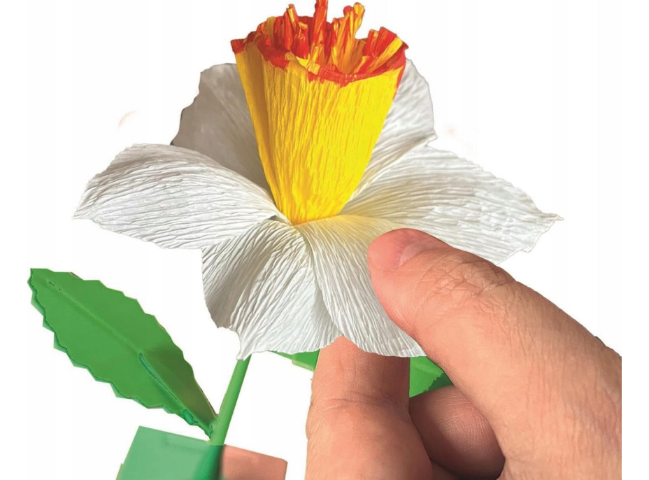 CLEMENTONI IDEA Květinová továrna: Narcis