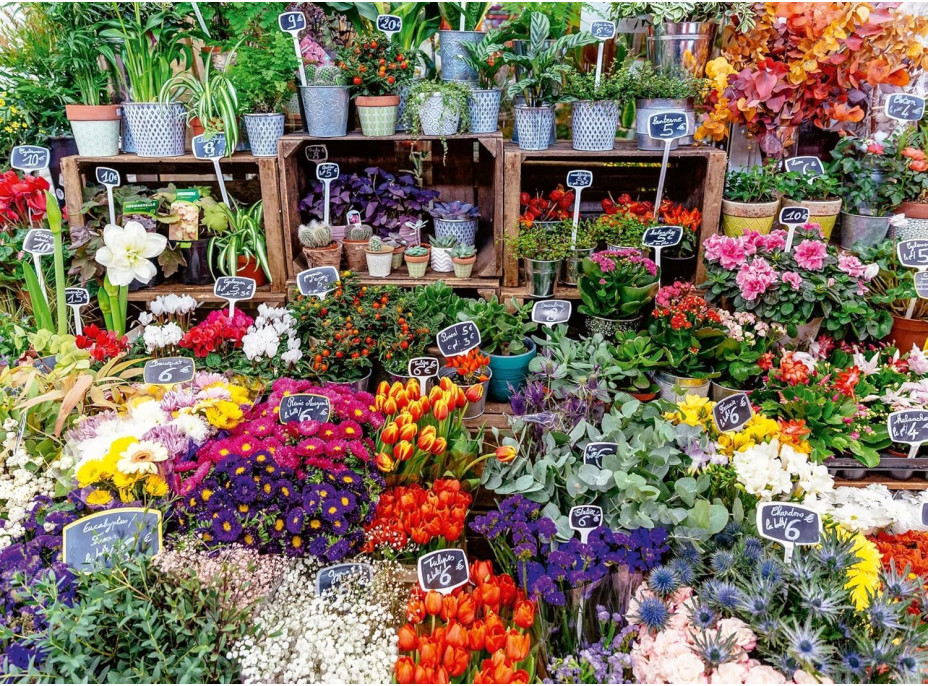 RAVENSBURGER Puzzle Francouzské tržiště 500 dílků