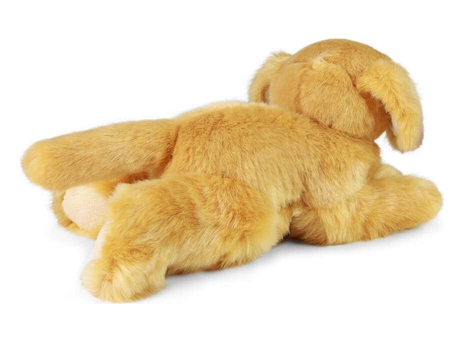Rappa Plyšový pes retrívr 30 cm ECO-FRIENDLY