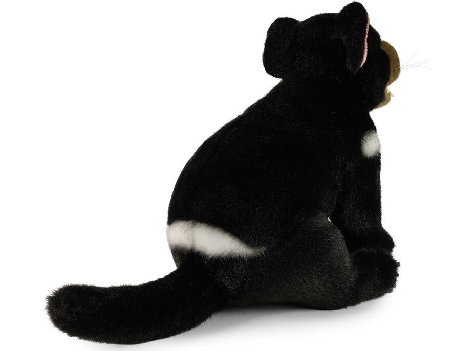 Rappa Plyšový tasmánský čert 25 cm ECO-FRIENDLY