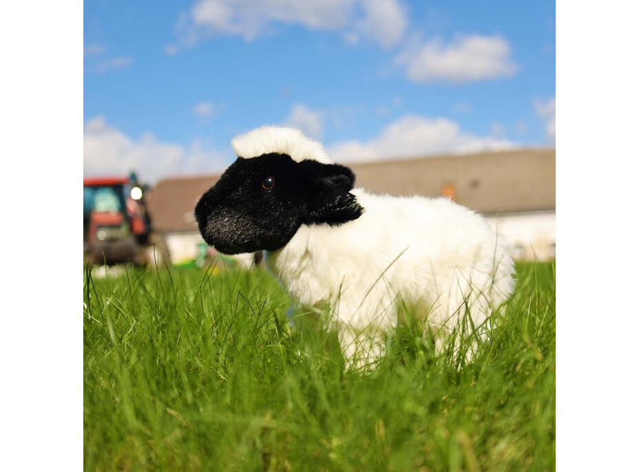 Rappa Plyšová ovce 27 cm ECO-FRIENDLY