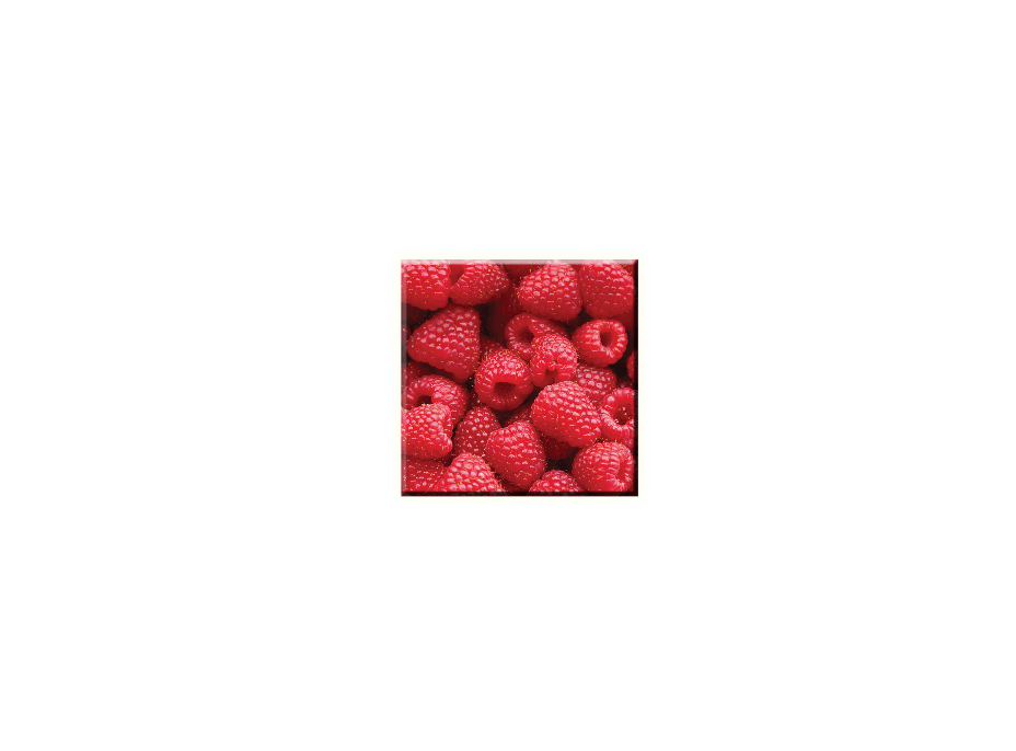 OBRAZY na plátně 30x30 cm