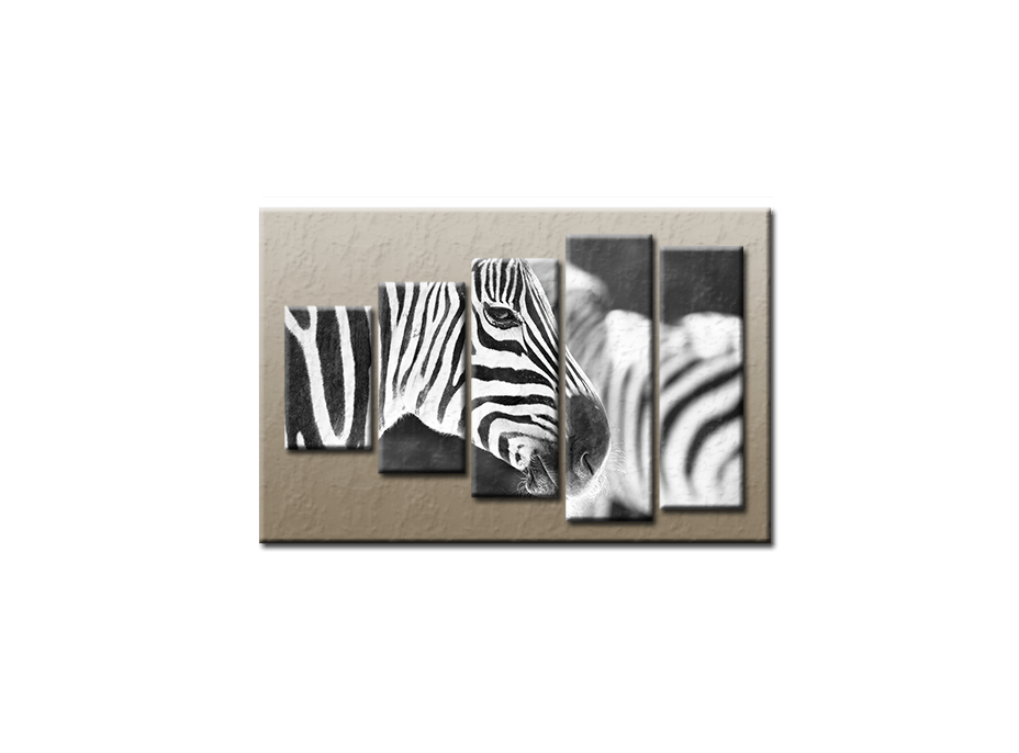 PĚTIDÍLNÝ OBRAZ na plátně ZEBRA - vzor 41