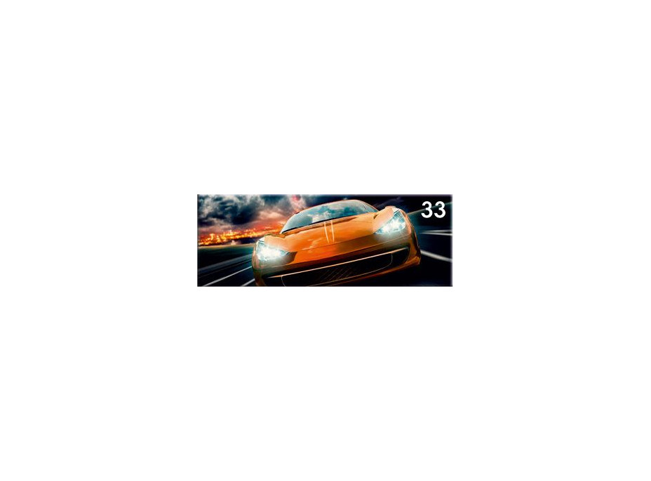 Obraz na plátně PANORAMA SPEEDYCAR - vzor 33