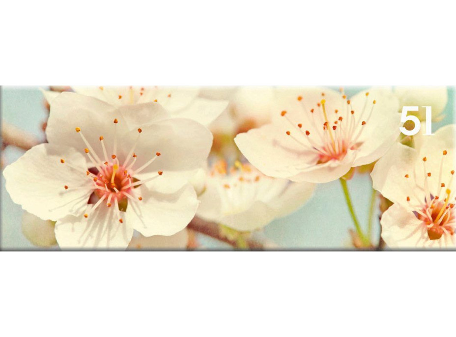 Obraz na plátně PANORAMA BLOOM - vzor 51