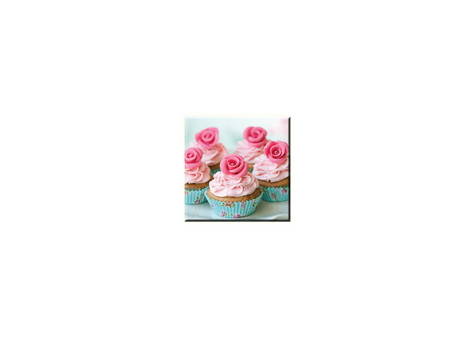 Obraz na plátně 30x30cm MUFFIN - vzor 5