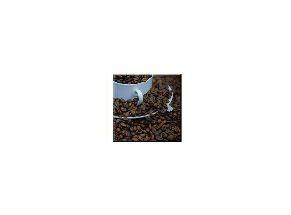 Obraz na plátně 30x30cm COFFEE BEANS - vzor 20