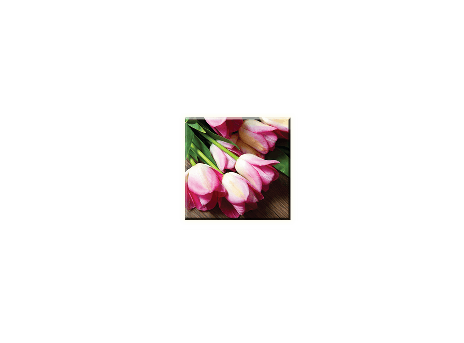 Obraz na plátně 30x30cm TULIP - vzor 33