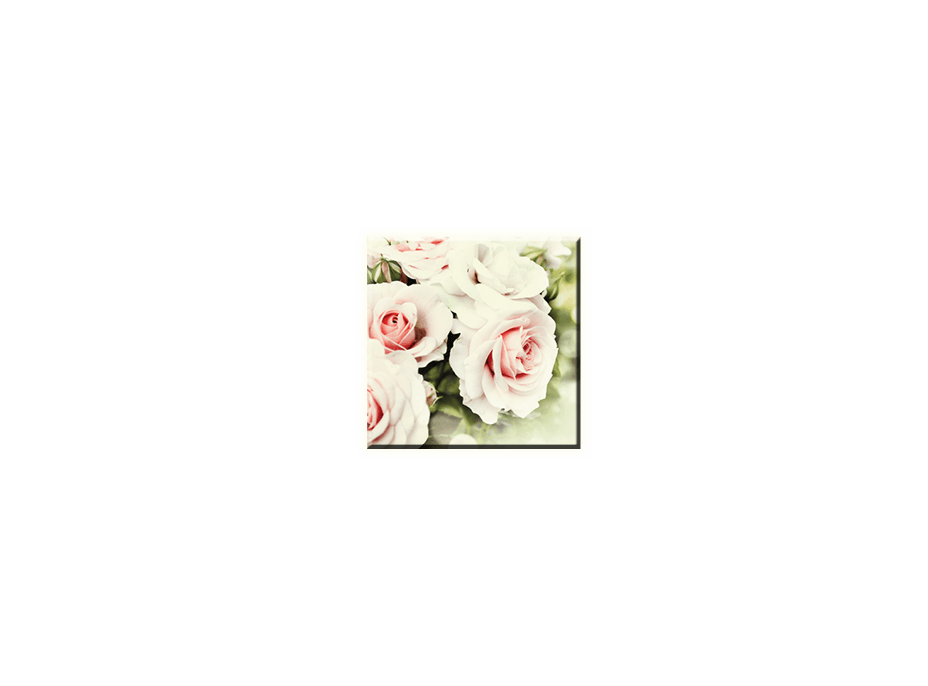 Obraz na plátně 30x30cm WHITE FLOWER - vzor 37