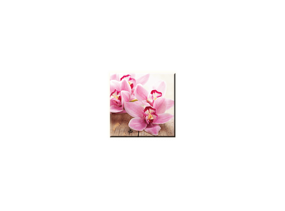 Obraz na plátně 30x30cm PINK FLOWER - vzor 39