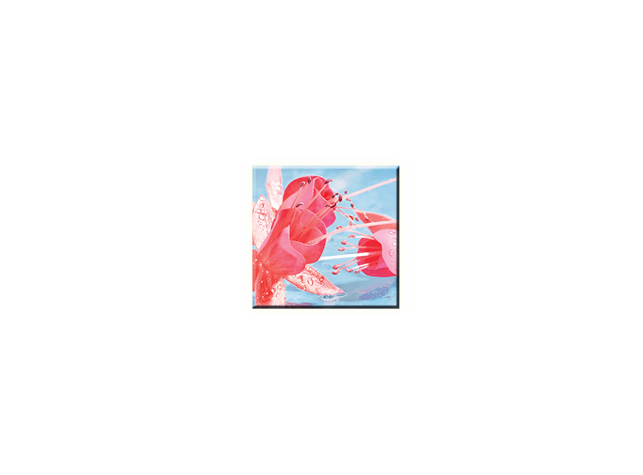 Obraz na plátně 30x30cm KVĚTINA - vzor 41