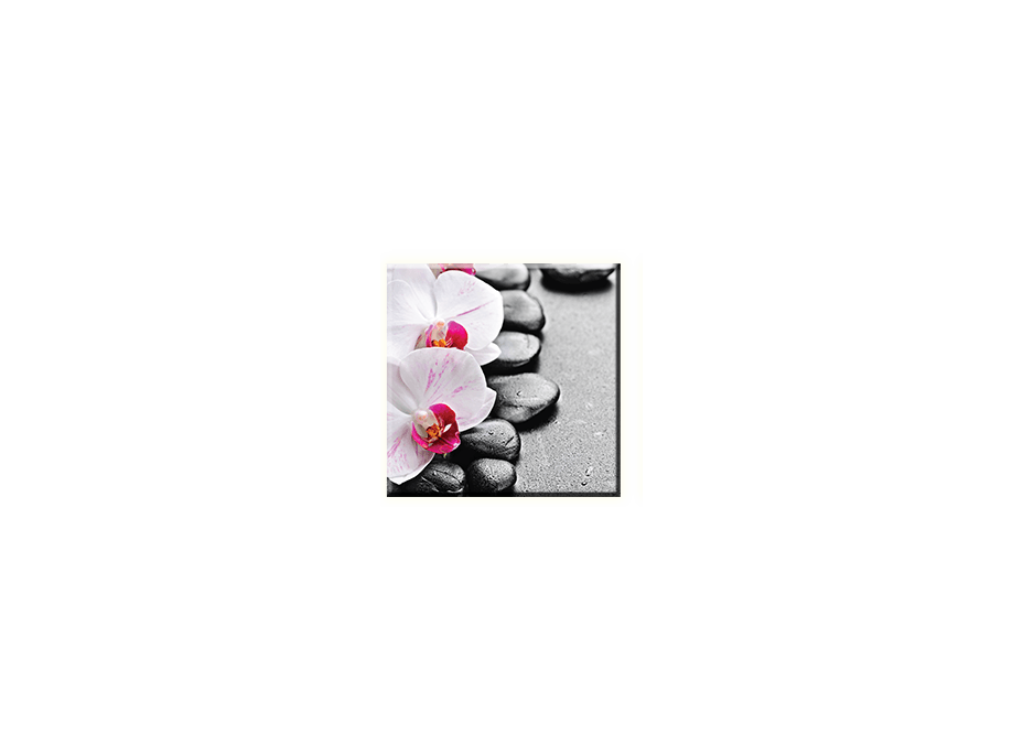 Obraz na plátně 30x30cm ORCHIDEJ - vzor 42