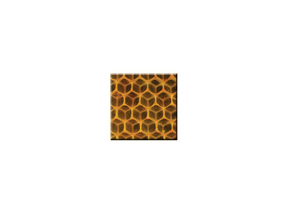 Obraz na plátně 30x30cm HONEY - vzor 92