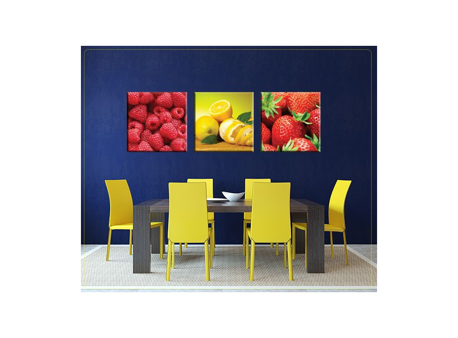 Obraz na plátně 30x30cm CITRON - vzor 2