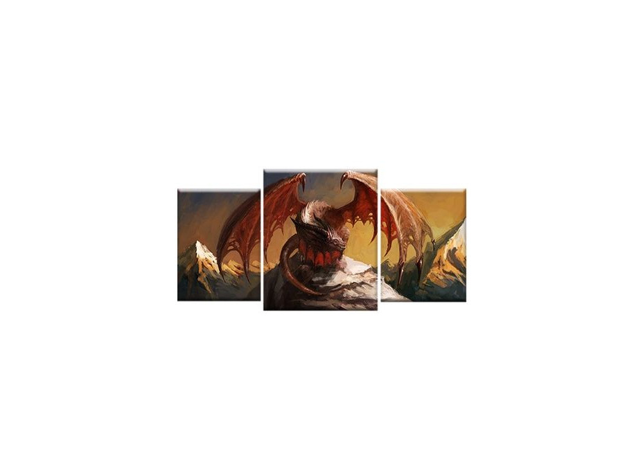 TŘÍDÍLNÝ OBRAZ na plátně ART - vzor20