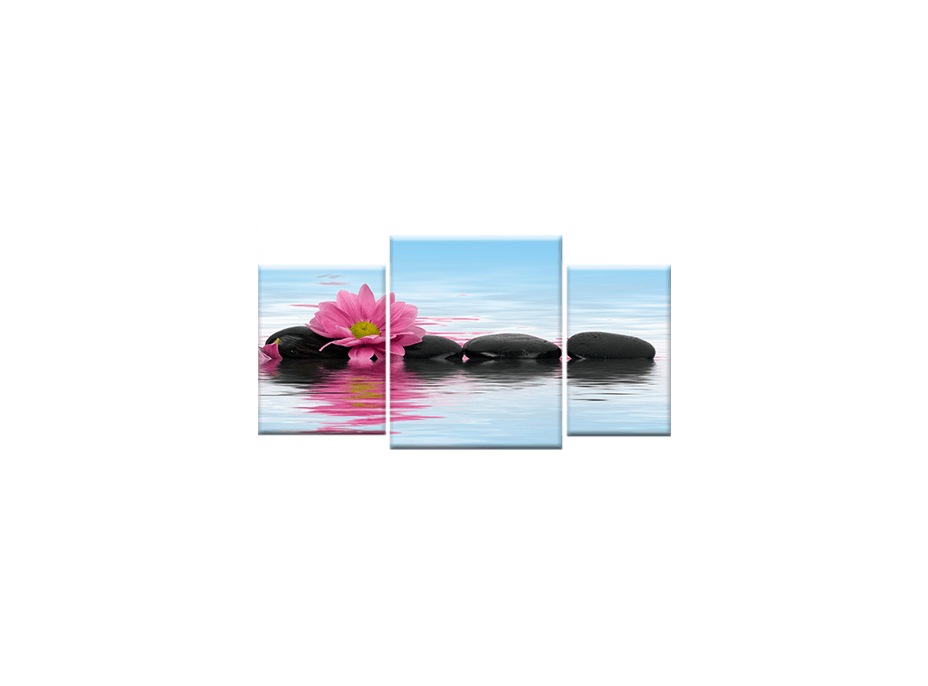 TŘÍDÍLNÝ OBRAZ na plátně FLOWERS - vzor3