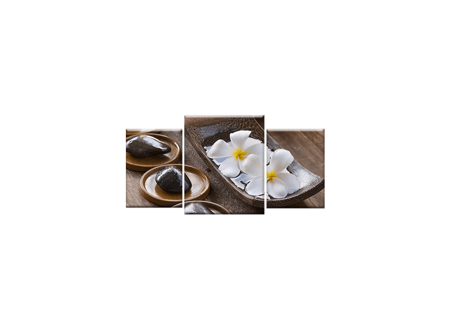 TŘÍDÍLNÝ OBRAZ na plátně FLOWERS - vzor5