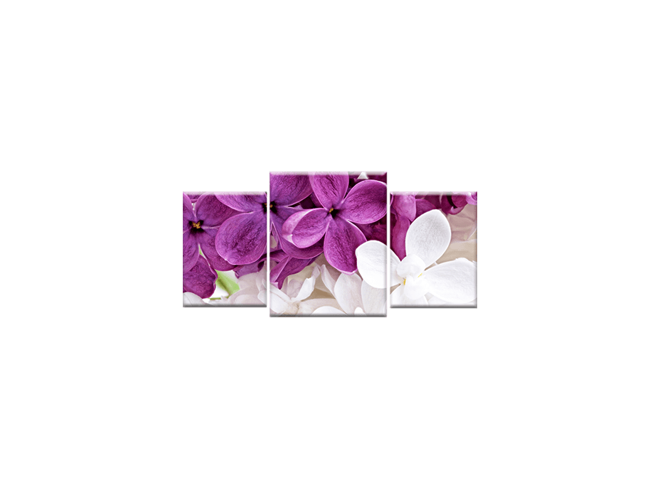 TŘÍDÍLNÝ OBRAZ na plátně FLOWERS - vzor11