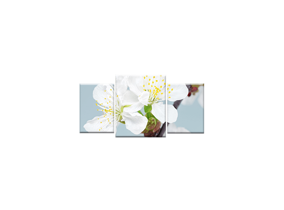 TŘÍDÍLNÝ OBRAZ na plátně FLOWERS - vzor19