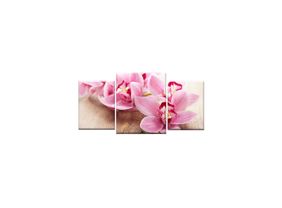 TŘÍDÍLNÝ OBRAZ na plátně FLOWERS - vzor41