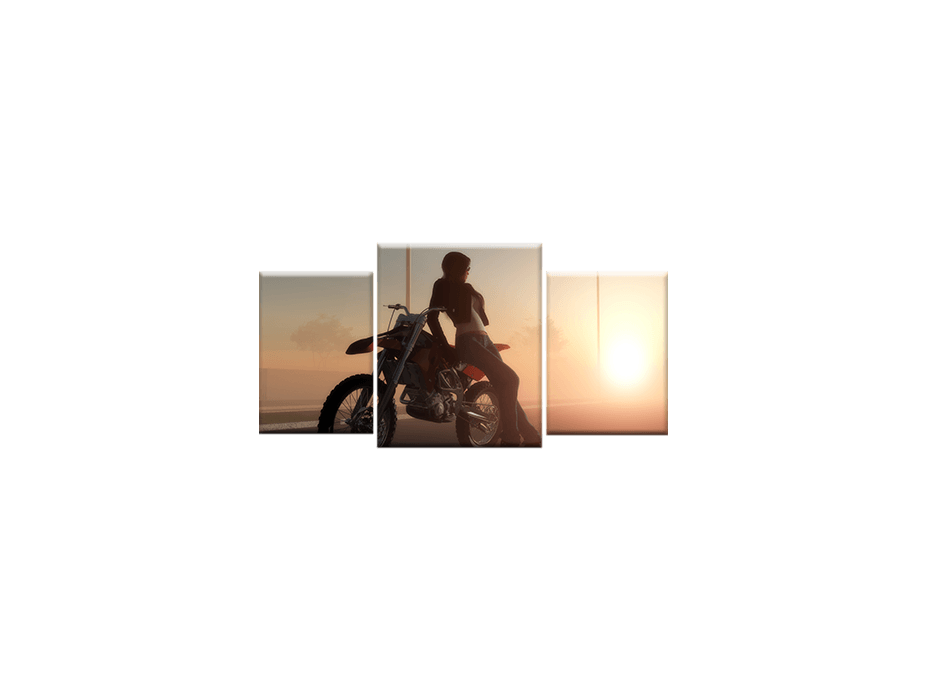 TŘÍDÍLNÝ OBRAZ na plátně MOTO - vzor16