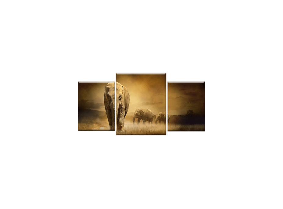 TŘÍDÍLNÝ OBRAZ na plátně ANIMALS - vzor2