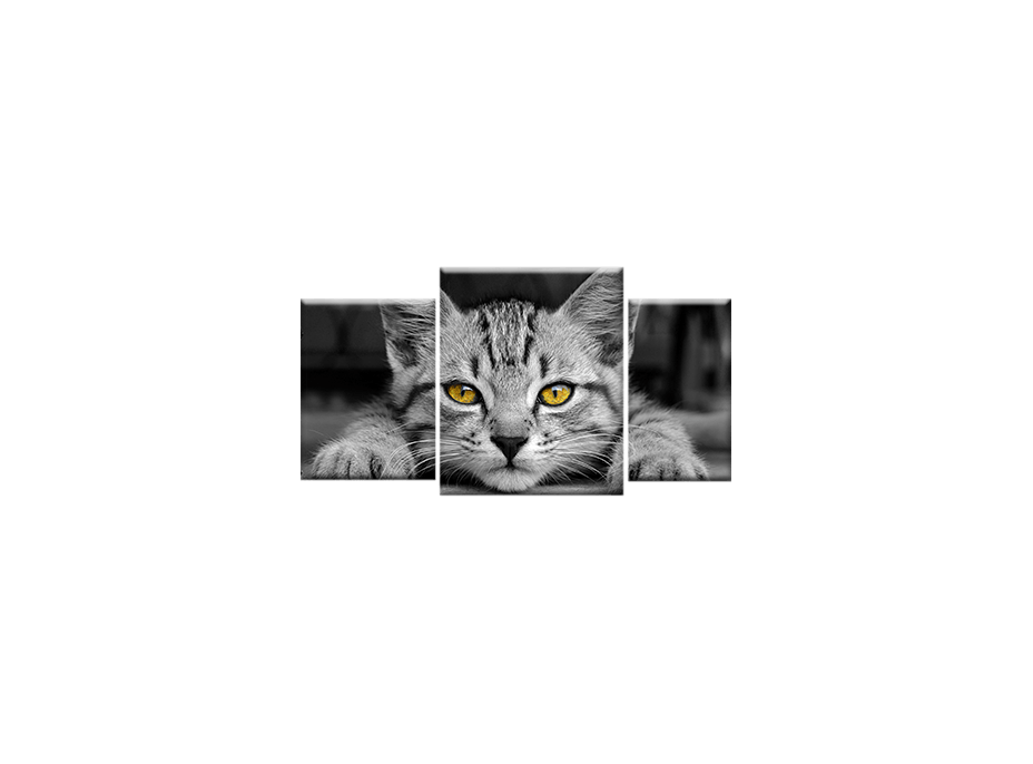 TŘÍDÍLNÝ OBRAZ na plátně ANIMALS - vzor 15