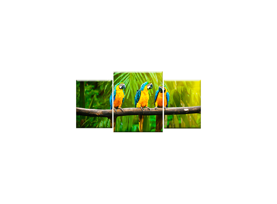 TŘÍDÍLNÝ OBRAZ na plátně ANIMALS - vzor17