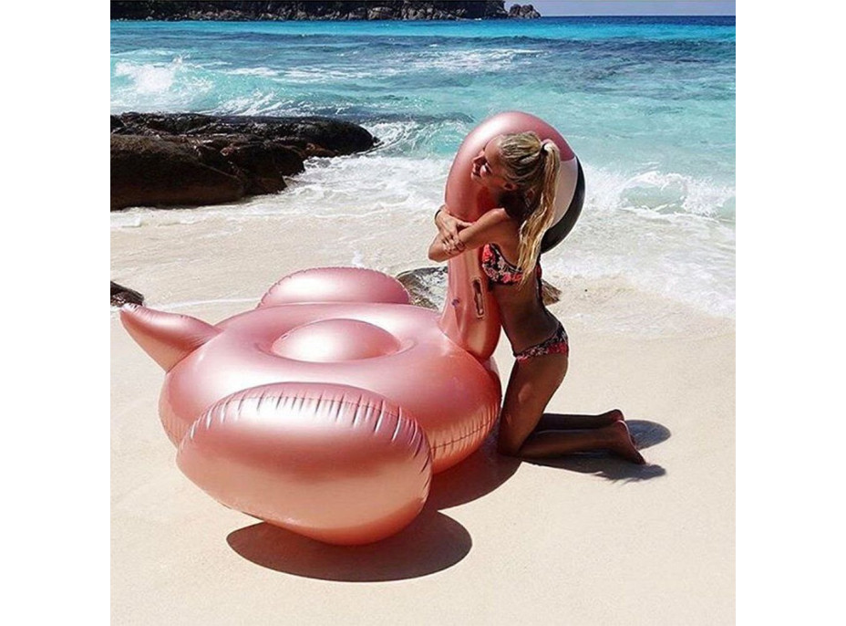 Nafukovací plavací lehátko PLAMEŇÁK XXL - Rose Gold - 150 cm