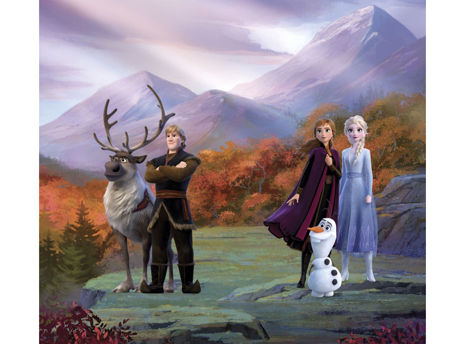 Dětský závěs FROZEN 2 180x160 cm