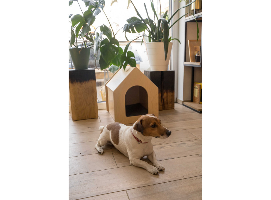 Dřevěný domek pro psy a kočky RICO