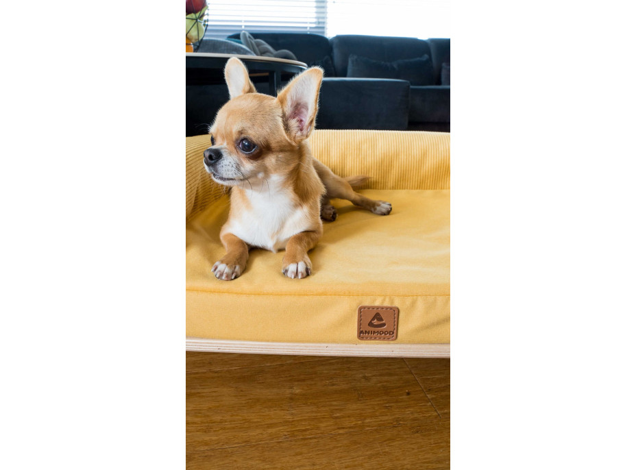 Pohovka pro psy SONIA - hořčicová