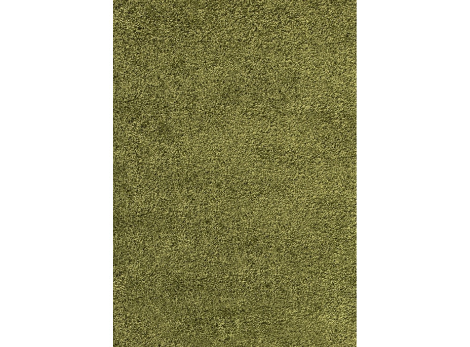Kusový koberec Dream Shaggy 4000 green