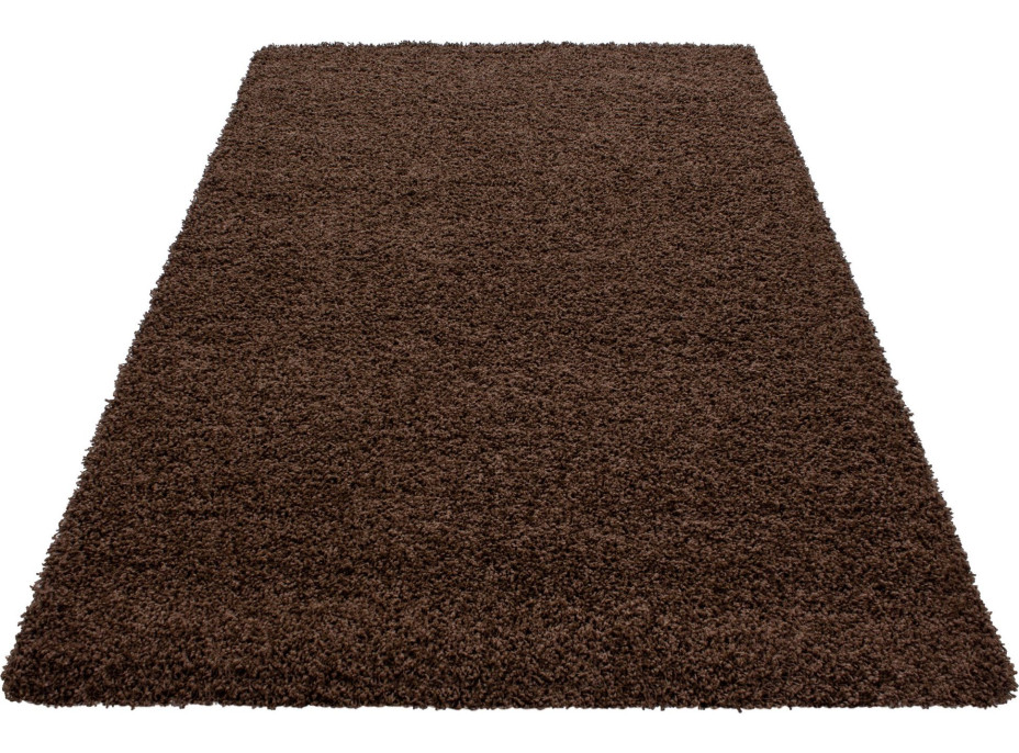 Kusový koberec Dream Shaggy 4000 brown