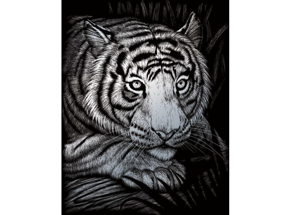 ROYAL & LANGNICKEL Sada 6 stříbrných škrabacích obrázků: Africká zvířata