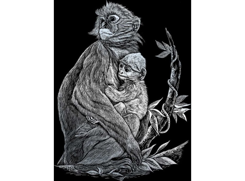 ROYAL & LANGNICKEL Sada 6 stříbrných škrabacích obrázků: Africká zvířata