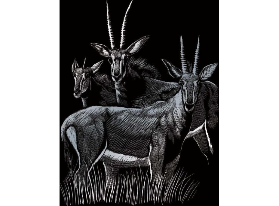 ROYAL & LANGNICKEL Sada 6 stříbrných škrabacích obrázků: Africká zvířata