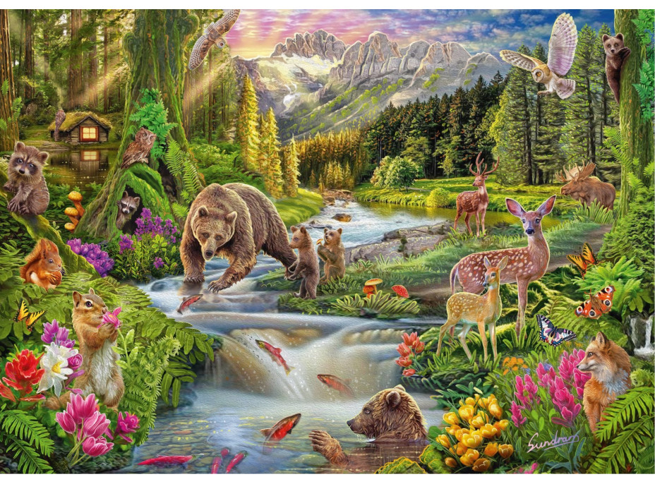 SCHMIDT Puzzle Divoká příroda: Hranice lesa 1000 dílků
