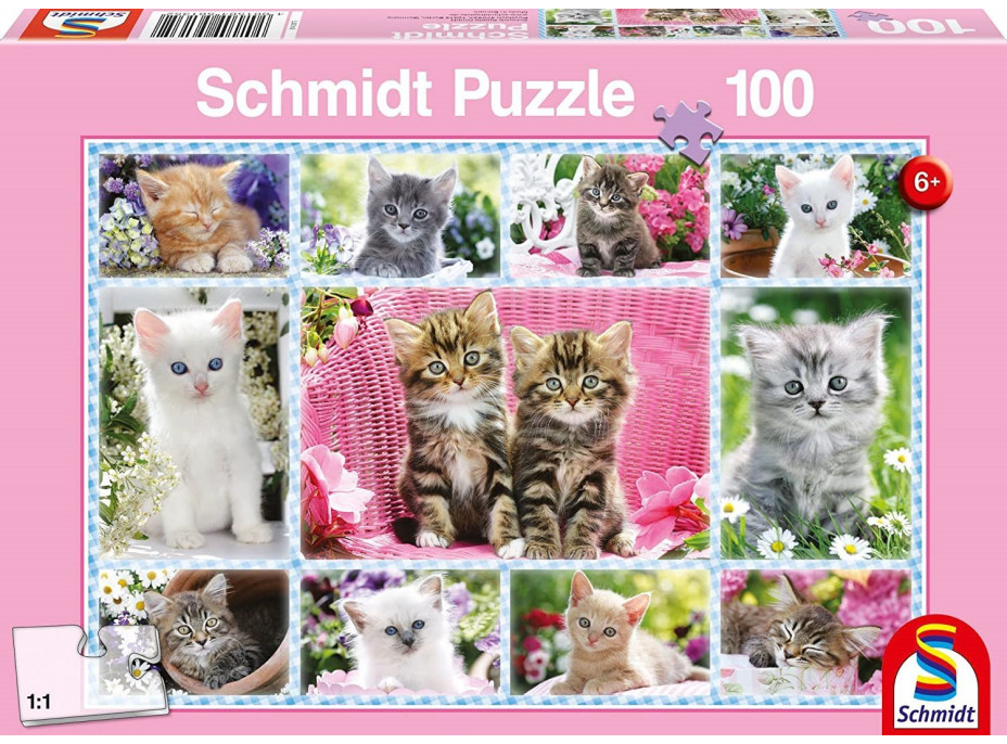 SCHMIDT Puzzle Koťata 100 dílků