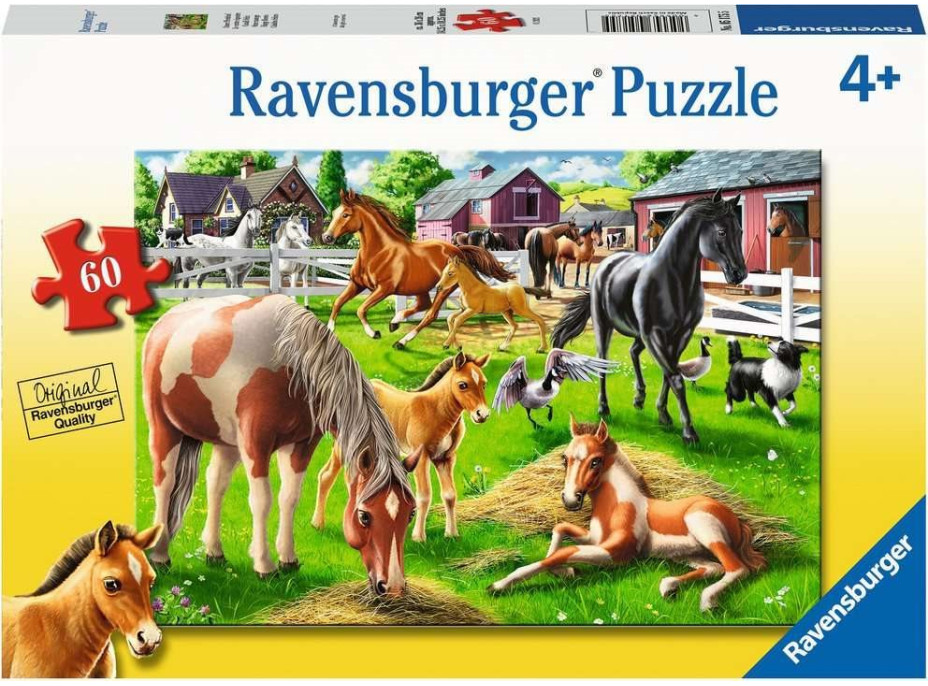 RAVENSBURGER Puzzle Šťastní koně 60 dílků