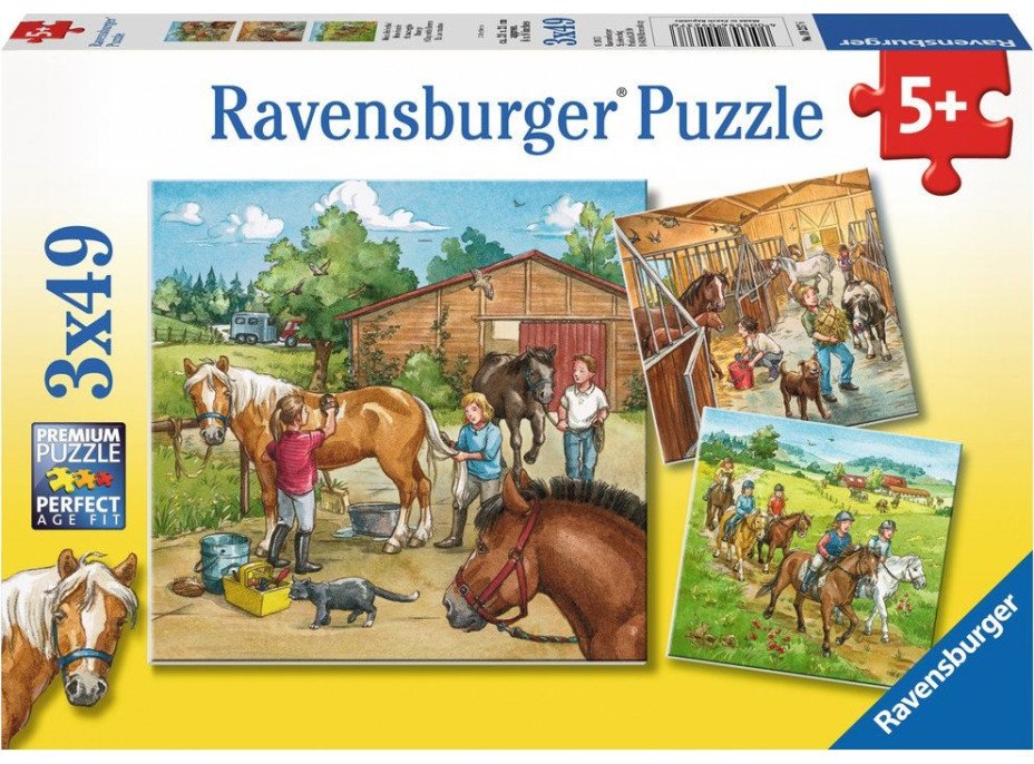 RAVENSBURGER Puzzle Den u koní 3x49 dílků