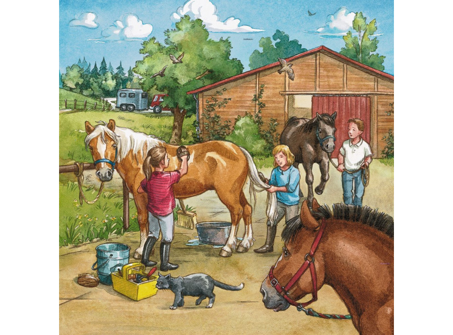 RAVENSBURGER Puzzle Den u koní 3x49 dílků