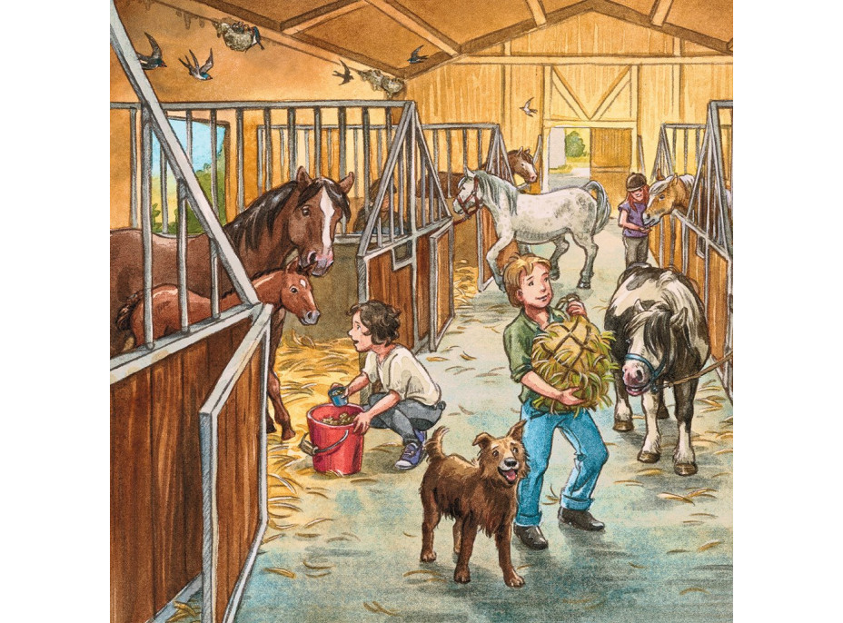 RAVENSBURGER Puzzle Den u koní 3x49 dílků